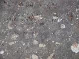 image of grave number 945944